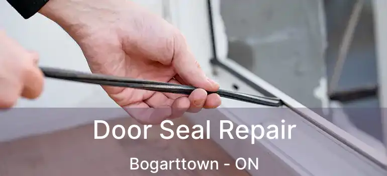  Door Seal Repair Bogarttown - ON