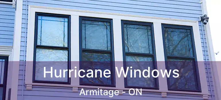  Hurricane Windows Armitage - ON