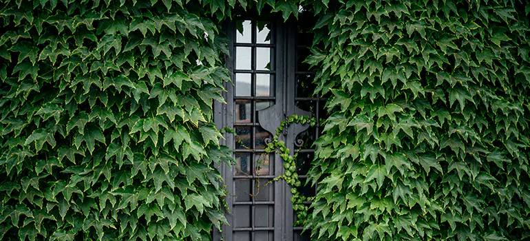 Garden Gate Repair in Newmarket, ON