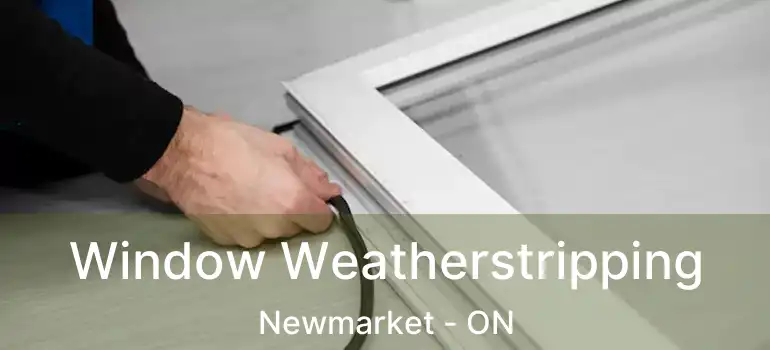  Window Weatherstripping Newmarket - ON